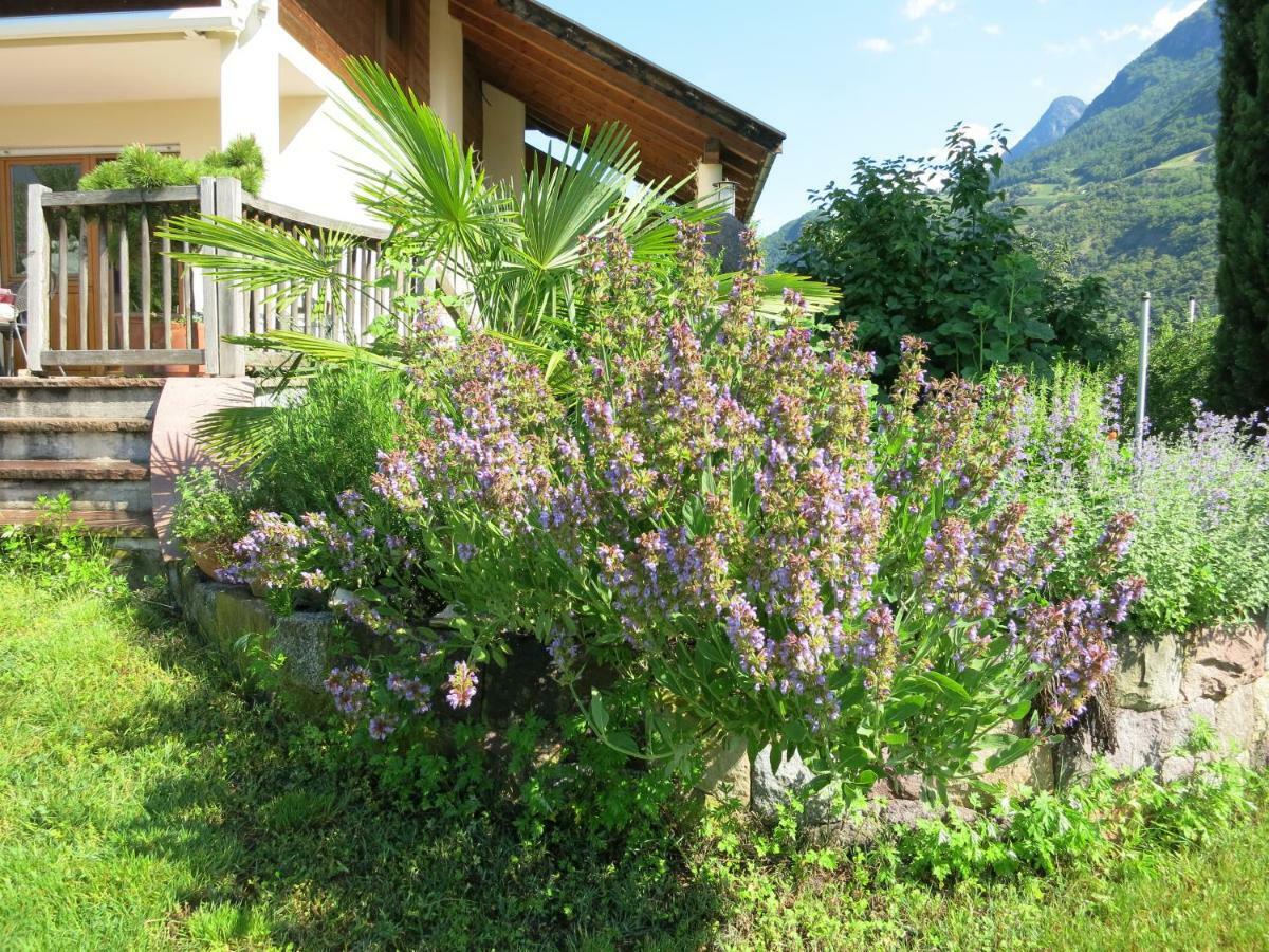 Apartamento Feldererhof Postal / Burgstall Exterior foto