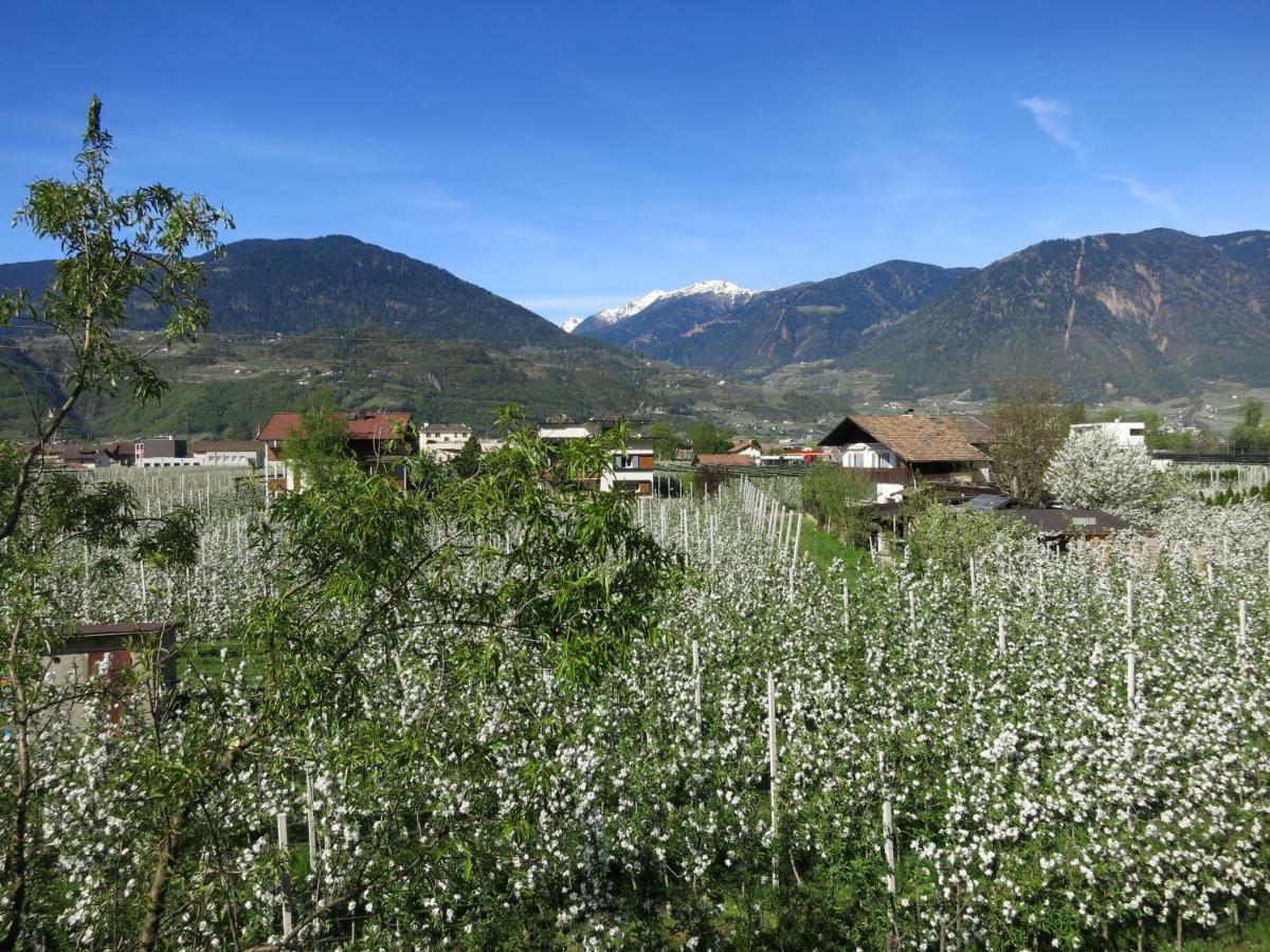 Apartamento Feldererhof Postal / Burgstall Exterior foto